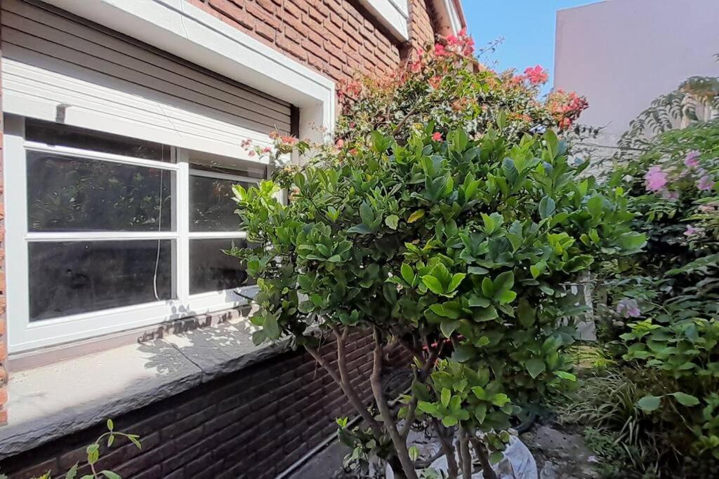 Apartamento Chalet En Ph A Dos Cuadras Del Mar. Zona Gūemes